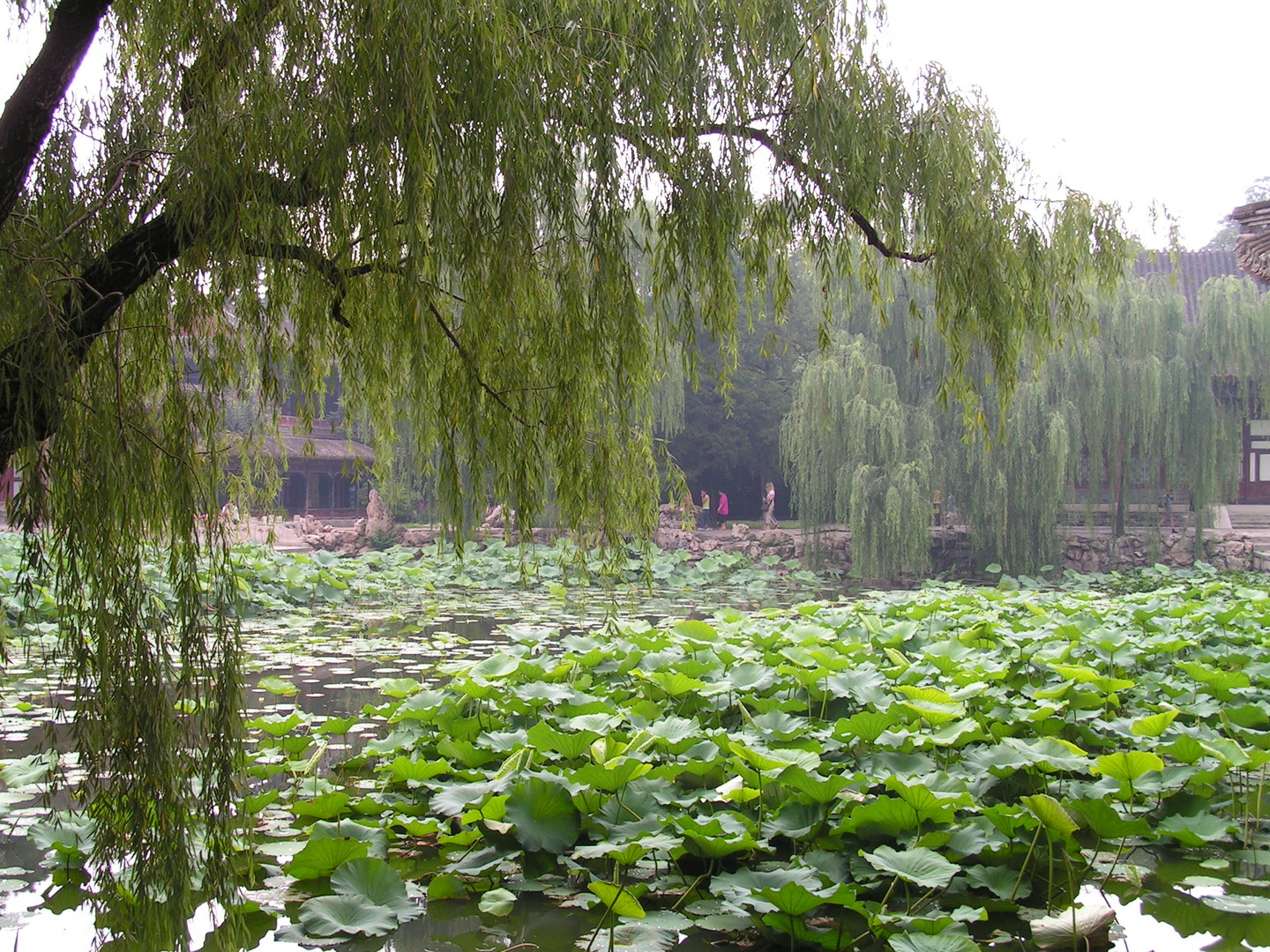 Beijing_20060724_026.jpg